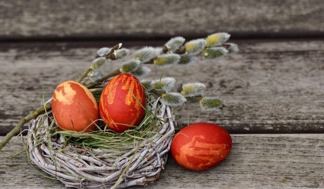 oeufs de pâques, nid de pâques, décoration de pâques, pâques, oeuf, joyeuses pâques, salutations de pâques, décorations de pâques, coutume, décor de pâques, marron heureux, oeuf marron, oeufs marron, bonheur marron, pâques, pâques, pâques, pâques